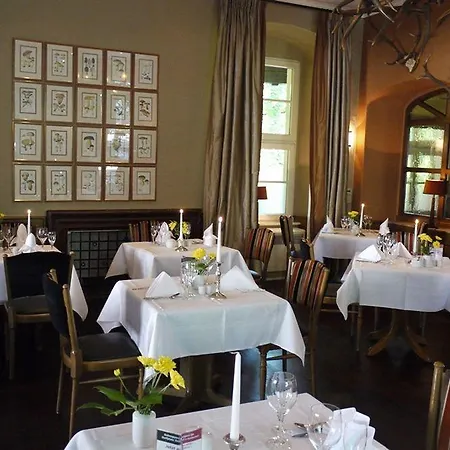 Parkhotel Schloss Meisdorf מלון Falkenstein (Vogtland)