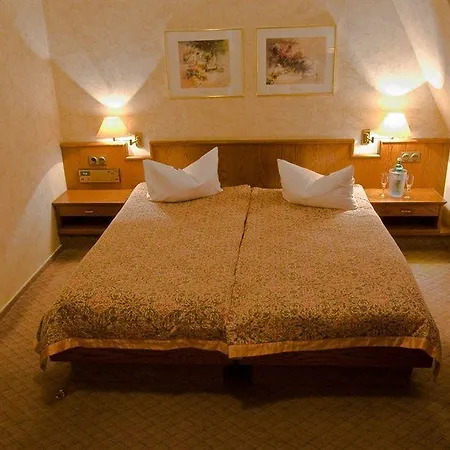 מלון Parkhotel Schloss Meisdorf 3*