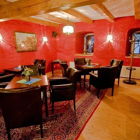 Parkhotel Schloss Meisdorf מלון