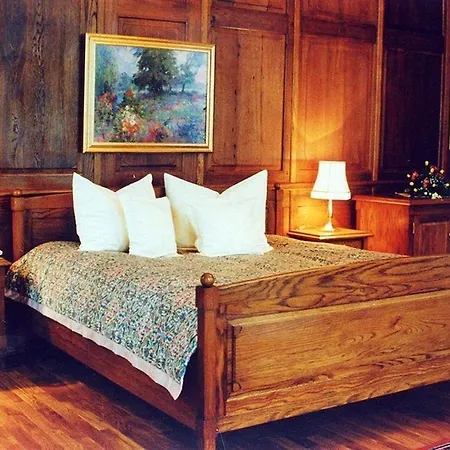 Parkhotel Schloss Meisdorf 3* Falkenstein (Vogtland)