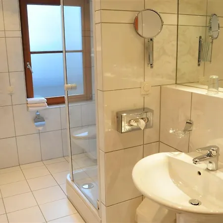 Parkhotel Schloss Meisdorf 3* Falkenstein (Vogtland)