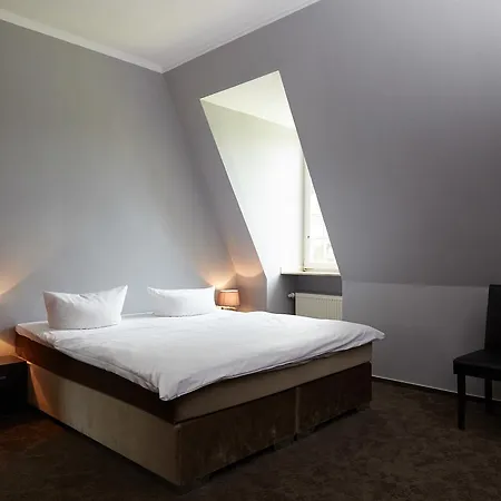 Parkhotel Schloss Meisdorf מלון 3*