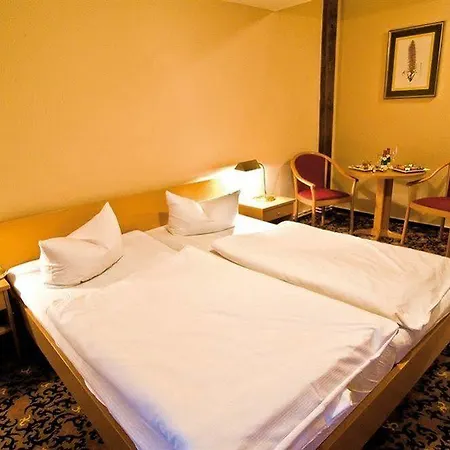 Parkhotel Schloss Meisdorf 3*