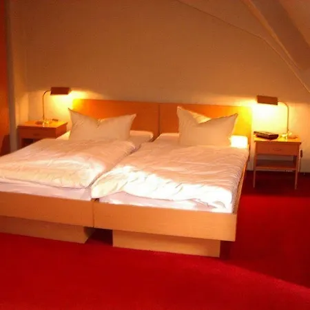 Parkhotel Schloss Meisdorf Falkenstein (Vogtland)